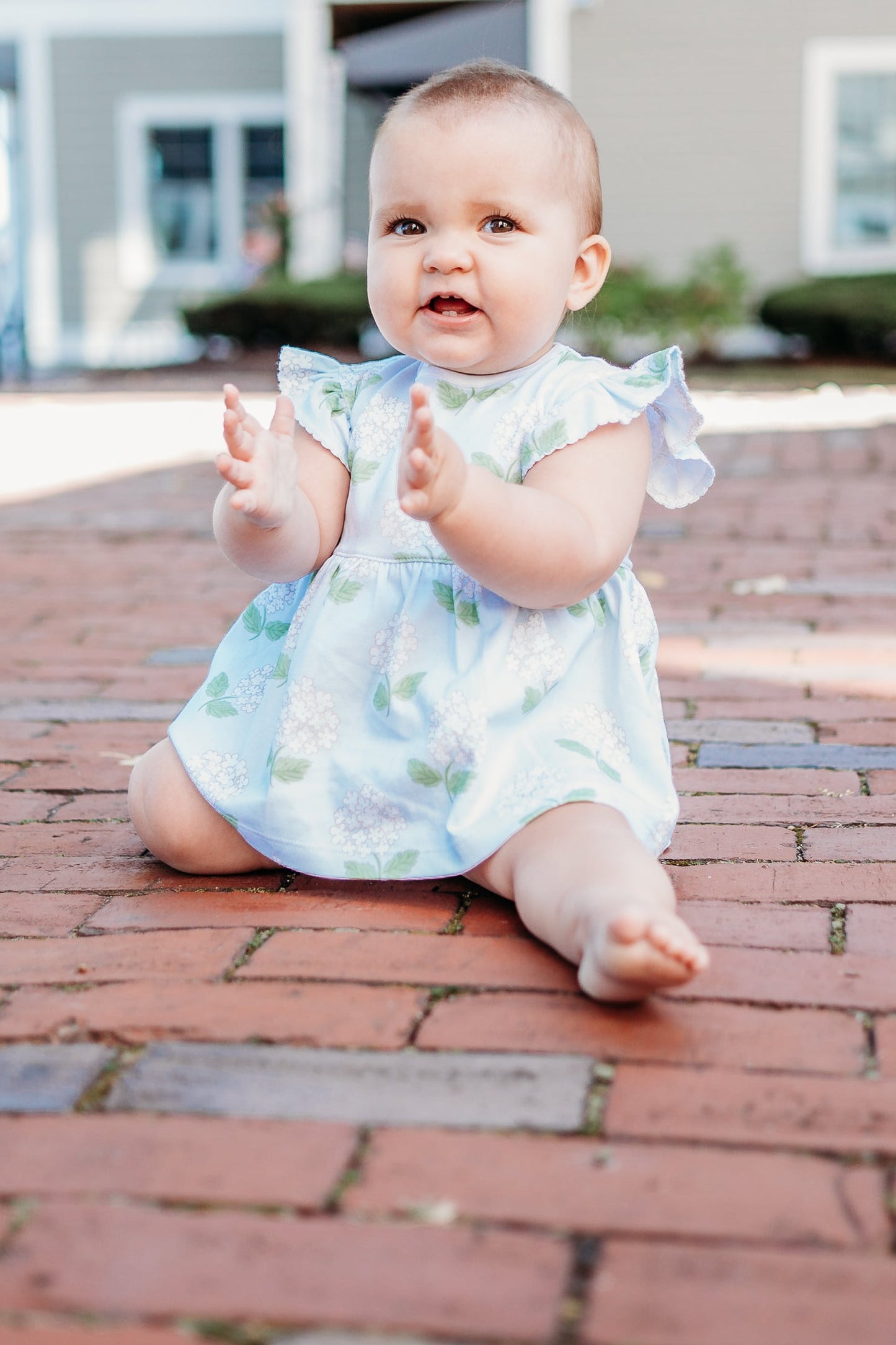 Hydrangea Pima Dress