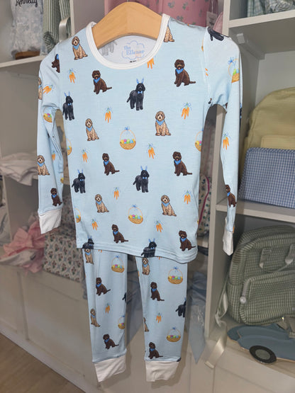 Long Sleeve 2 Piece Set Jammies