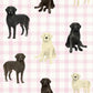 Swaddle Blankets