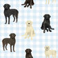 Swaddle Blankets