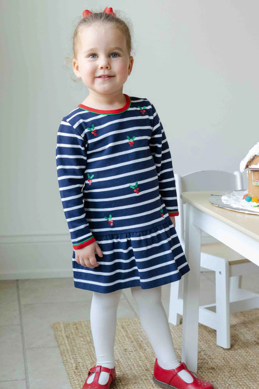 Stripe Knit Dress With Embroidered Holly Dress