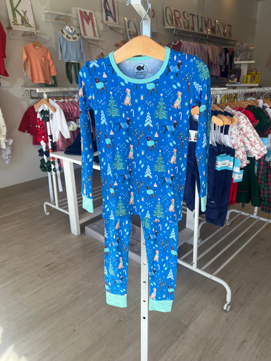 Long Sleeve 2 Piece Set Jammies