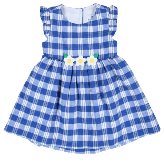 Plaid Seersucker Dress w/ Flowers