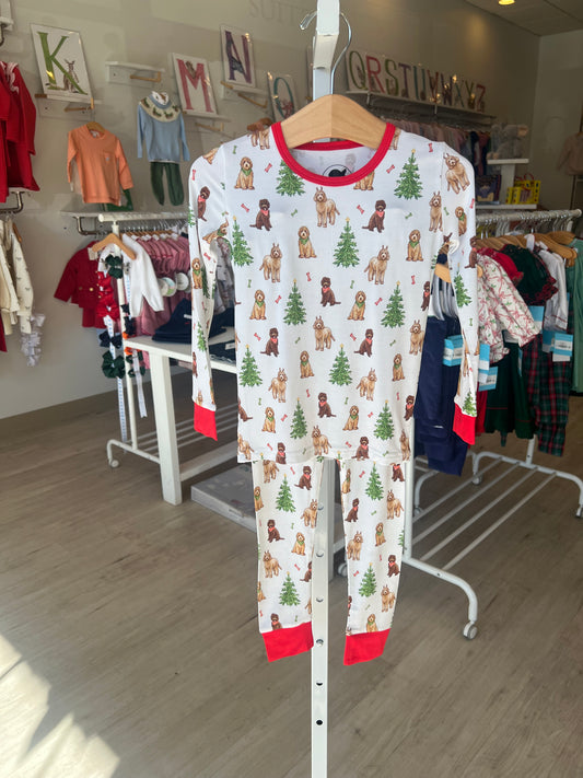 Long Sleeve 2 Piece Set Jammies