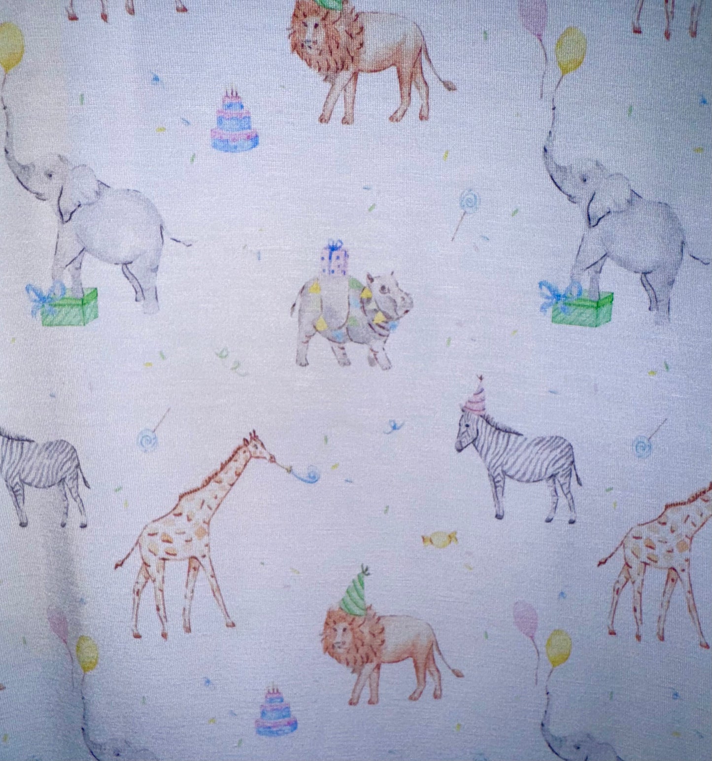 Party Animal Jammies